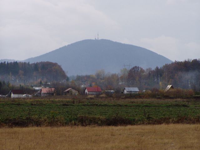 P1010093.JPG